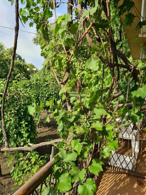 Гостиница Каменка Ейск