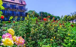 Гостиница Каменка Ейск-3