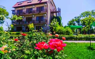 Гостиница Каменка Ейск-1