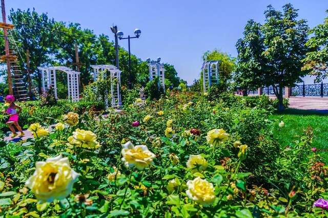 Гостиница Каменка Ейск-25