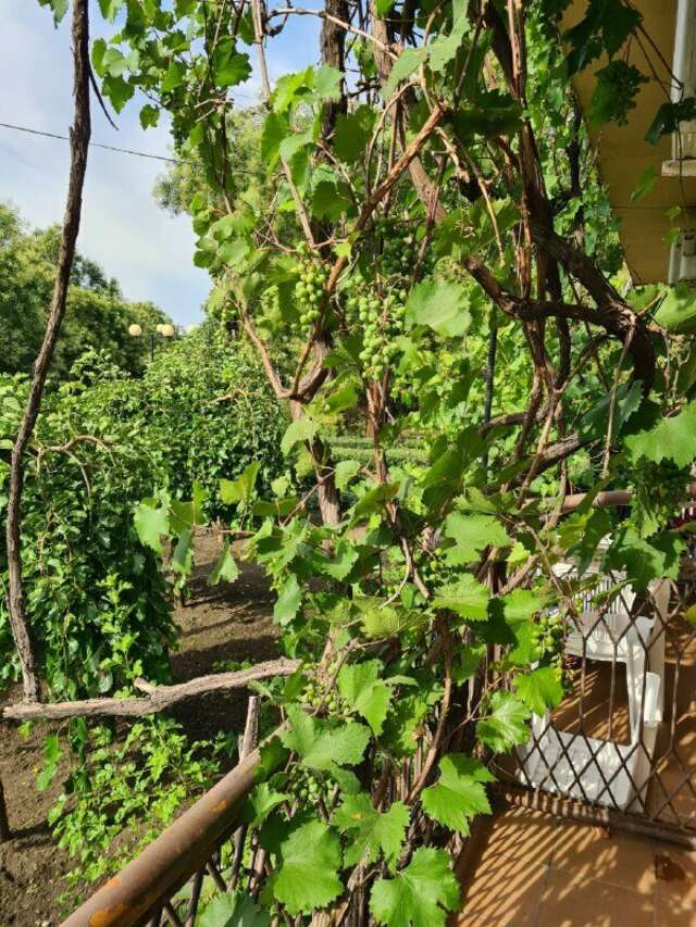 Гостиница Каменка Ейск-44